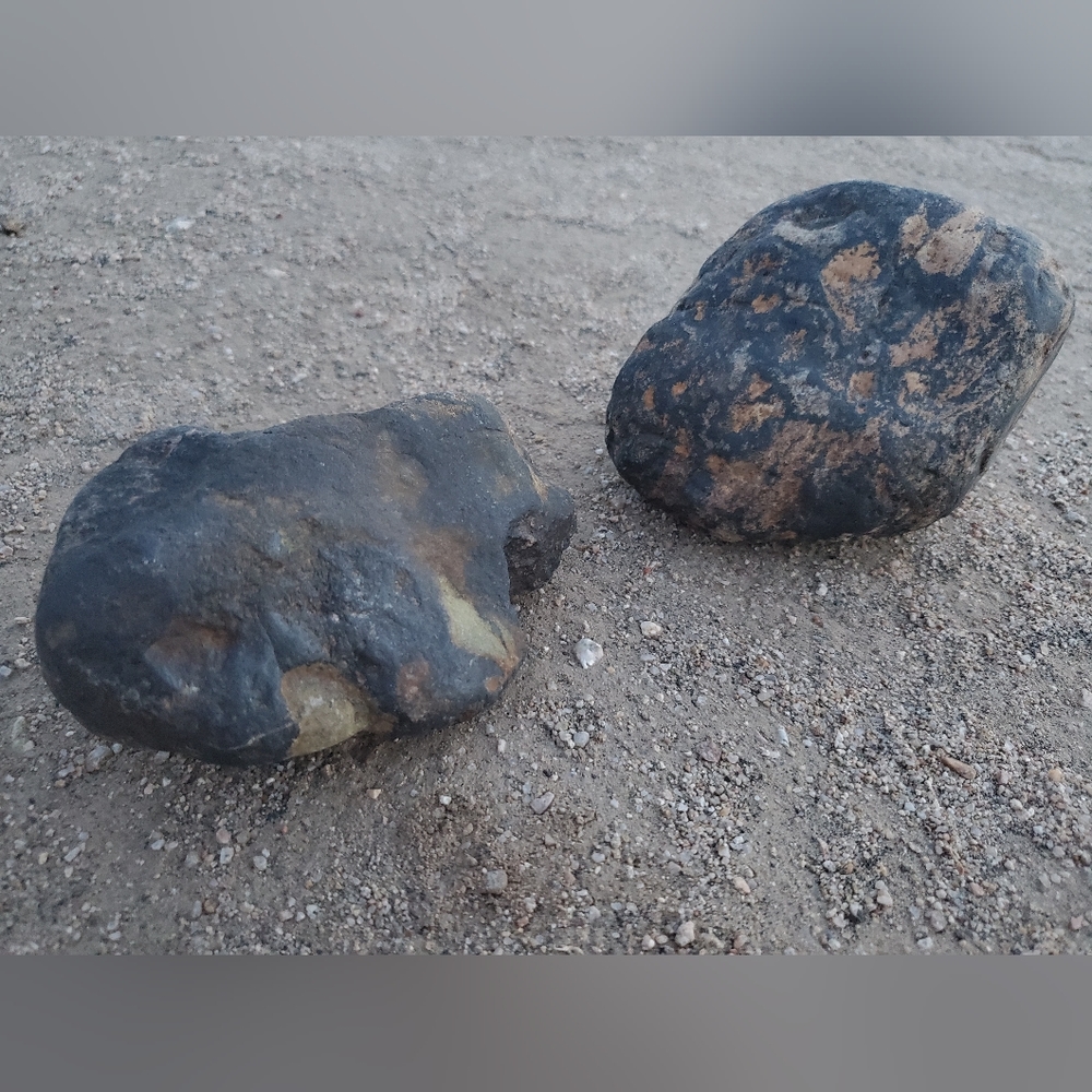 Lot of 2 Metamorphosed Basalt Stones